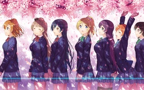 cherry blossom, anime, Ayase Eri, Nishikino Maki, Sonoda Umi, Toujou Nozomi