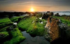grass, sea, stones, sunset, nature