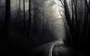 road, trees, monochrome