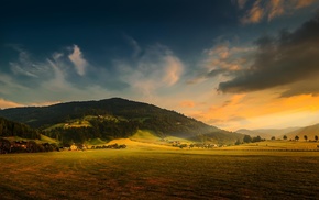 sky, forest