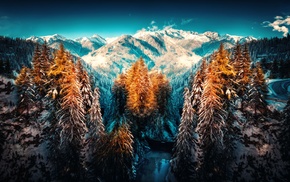 winter, snow, nature, mountains, trees, landscape