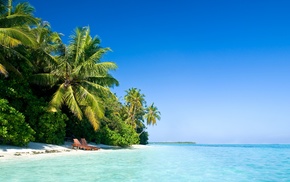 sunbed, sky, sea, palm trees, beach