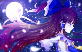 Touhou, anime girls, purple hair, Moon, profile, anime