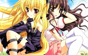 anime girls, Yuuki Mikan, Golden Darkness, To Love, ru, anime