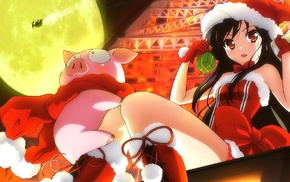 anime, Christmas, Accel World, Moon, pigs, Kuroyukihime