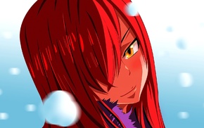 Fairy Tail, smiling, Scarlet Erza, anime girls, anime, redhead