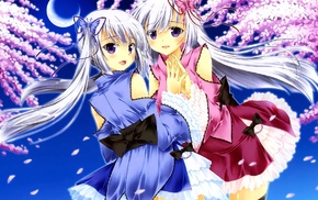 anime, anime girls, original characters, cherry blossom