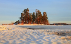 trees, landscape, winter
