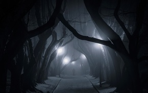 trees, Poland, mist, landscape, nature, dark