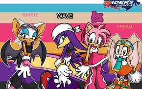 Sonic Riders, Rouge the Bat, Sonic, Sonic the Hedgehog