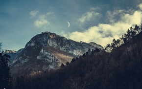 Moon, mountains, forest