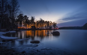 trees, landscape, nature