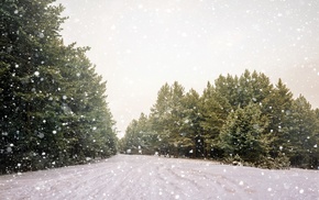 trees, landscape, snow