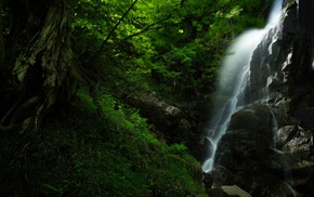 landscape, waterfall, forest