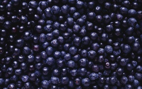 berries, fruit