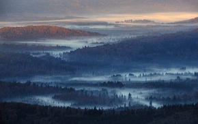 Germany, landscape, nature, mist, blue, forest