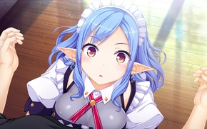 visual novel, anime, blue hair, pointed ears, Merou Aquri, long hair