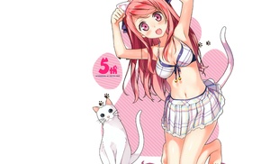 cat, skirt, anime girls, Afterschool of the 5th year, bikini, Kantoku