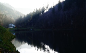 lake, mist, forest, landscape, Sun