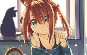 cat girl, tail, original characters, animal ears, nekomimi