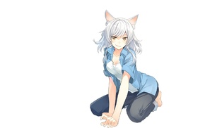 simple background, Hanekawa Tsubasa, anime girls, animal ears, Sawarineko, white hair