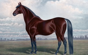 horse, brown, painting, animals, equine
