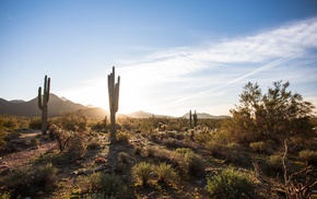 USA, landscape, nature, Arizona