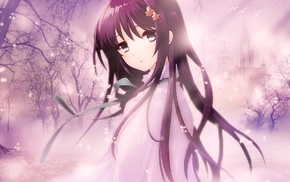 Shirasagi Mayuri, anime girls, long hair, eyes, black hair, cherry blossom