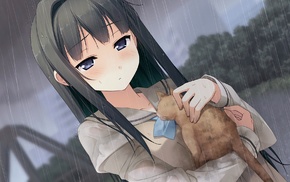 water, long hair, forest, anime, sadness, cat