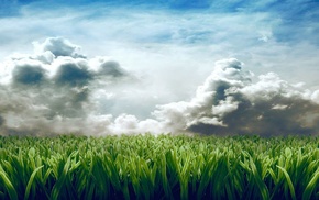 clouds, grass, digital art
