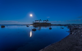 coconuts, island, moonlight, Norway, blue, nature