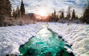 Canada, river, landscape, pine trees, nature, winter