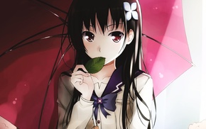 anime girls, anime, leaves, hair ornament, simple background, Sankarea