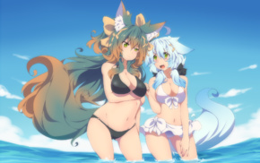 water, sky, bikini, Shiromiya Asuka, foxgirl, original characters