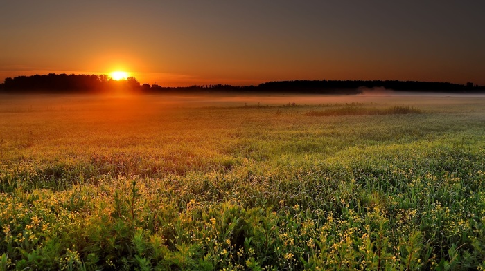 nature