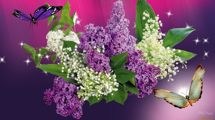 flowers