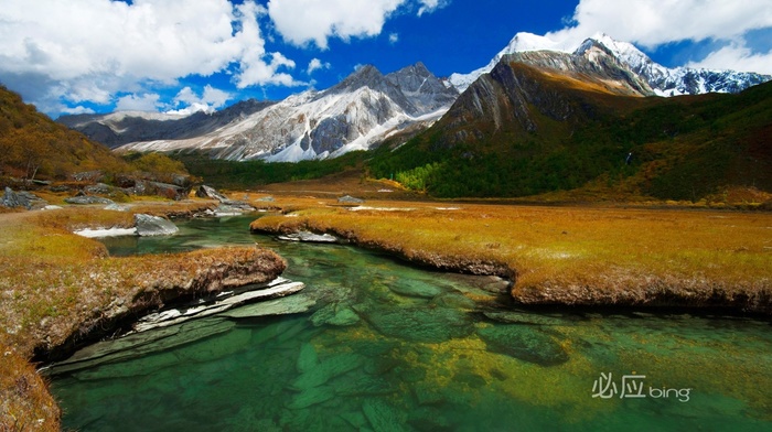 nature