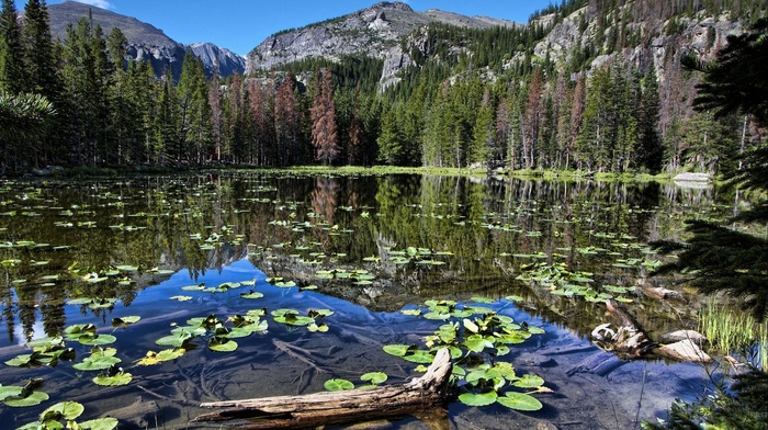 nature