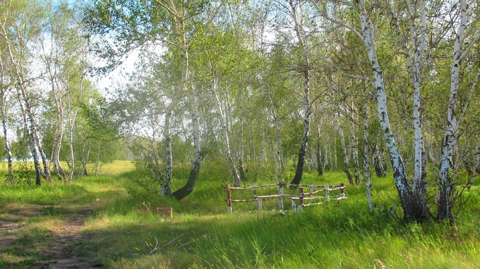 nature