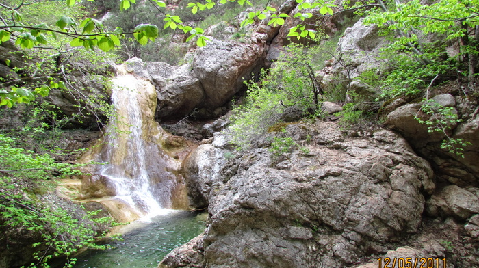 nature