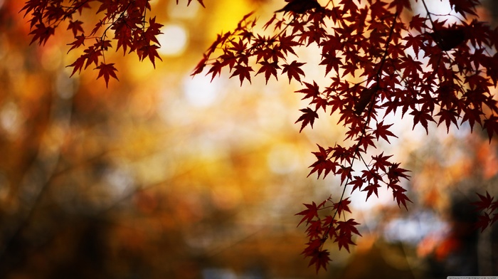 nature