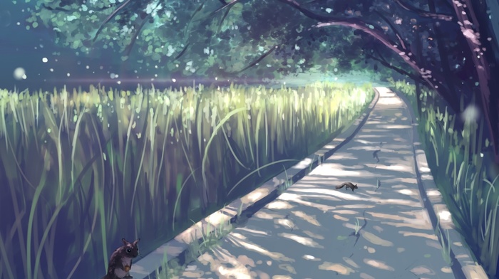 anime