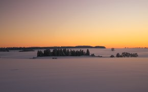 Snowy Landscape With Silhouetted Trees At Dusk