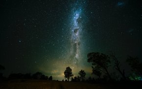 Starry Sky Over Field With Trees
