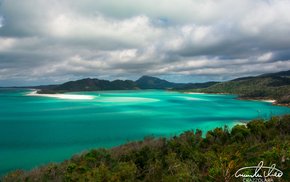 Turquoise Waters And Lush Green Trees