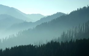 Mountain Range With Green Trees