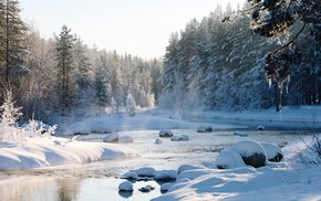 Snowy Forest River Landscape