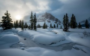 Fresh Snow At Bow Lake