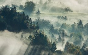 Aerial View Of Foggy Forest In Slovenia