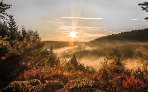 Sunset Trees Autumn Forest Sky